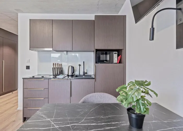 Mooi St.gallen Apartment St. Gallen